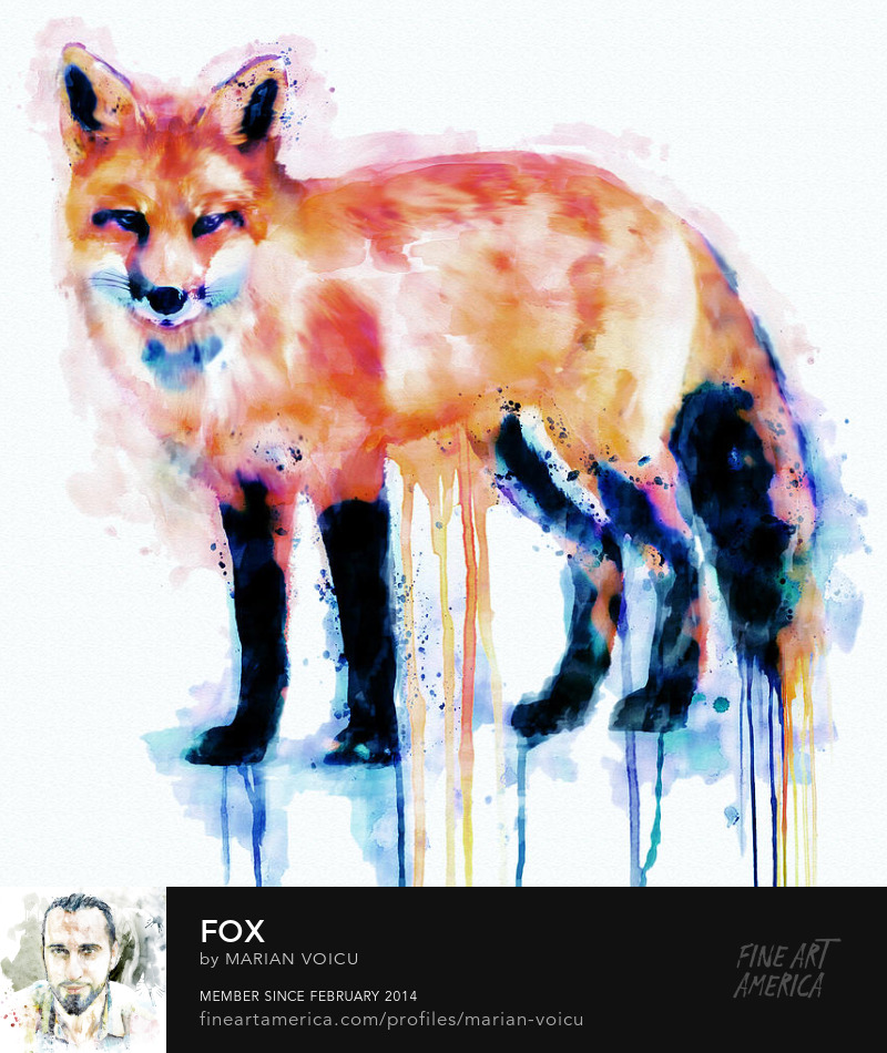 Watercolor painting of an awesome fox Art for sale