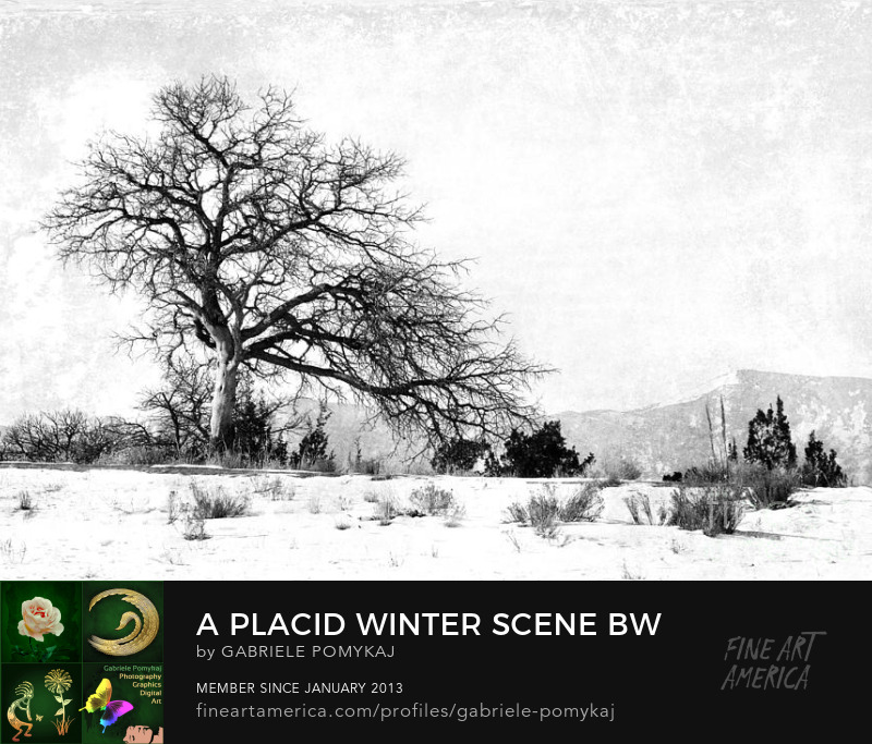A Placid Winter Scene by Gabriele Pomykaj