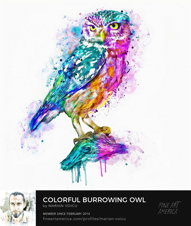 Watercolor painting of a colorful owl