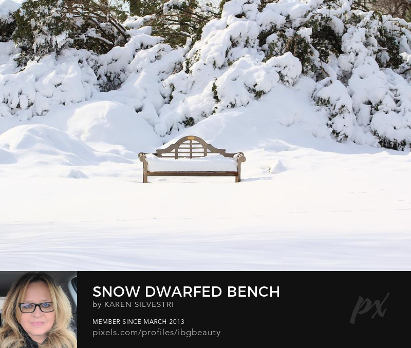 Snow Dwarfed Bench by Karen Silvestri