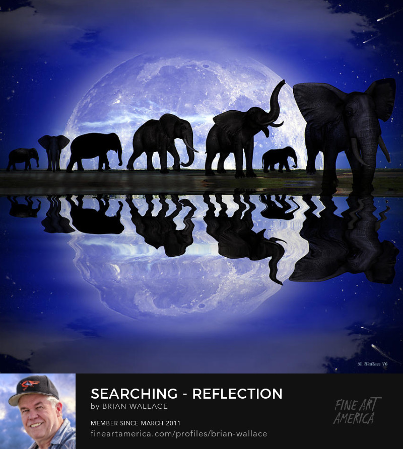 Searching Reflection by Brian Wallace