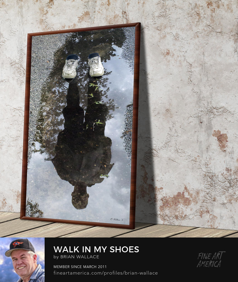 Walk In My Shoes by Brian Wallace