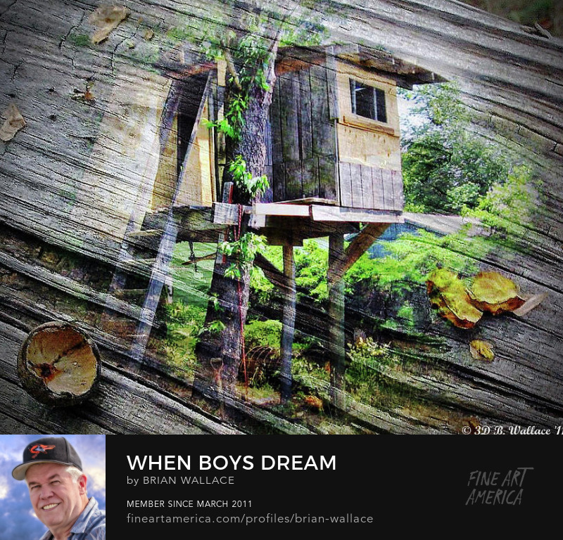 When Boys Dream by Brian Wallace