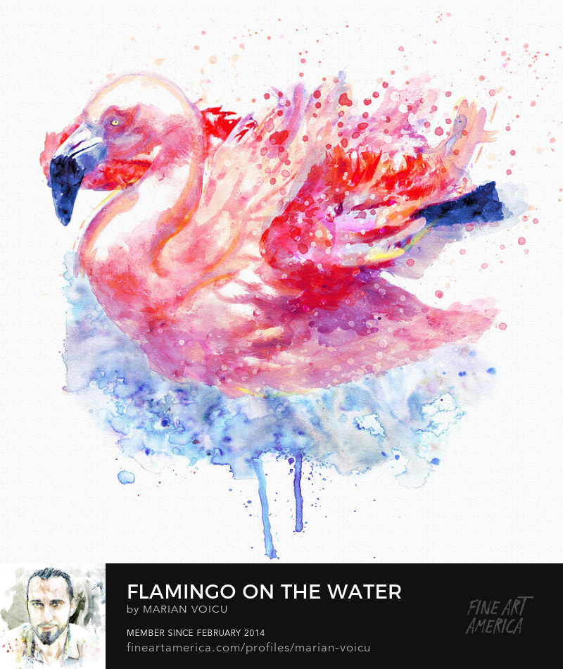 Watercolor painting of a beautiful flamingo on the water