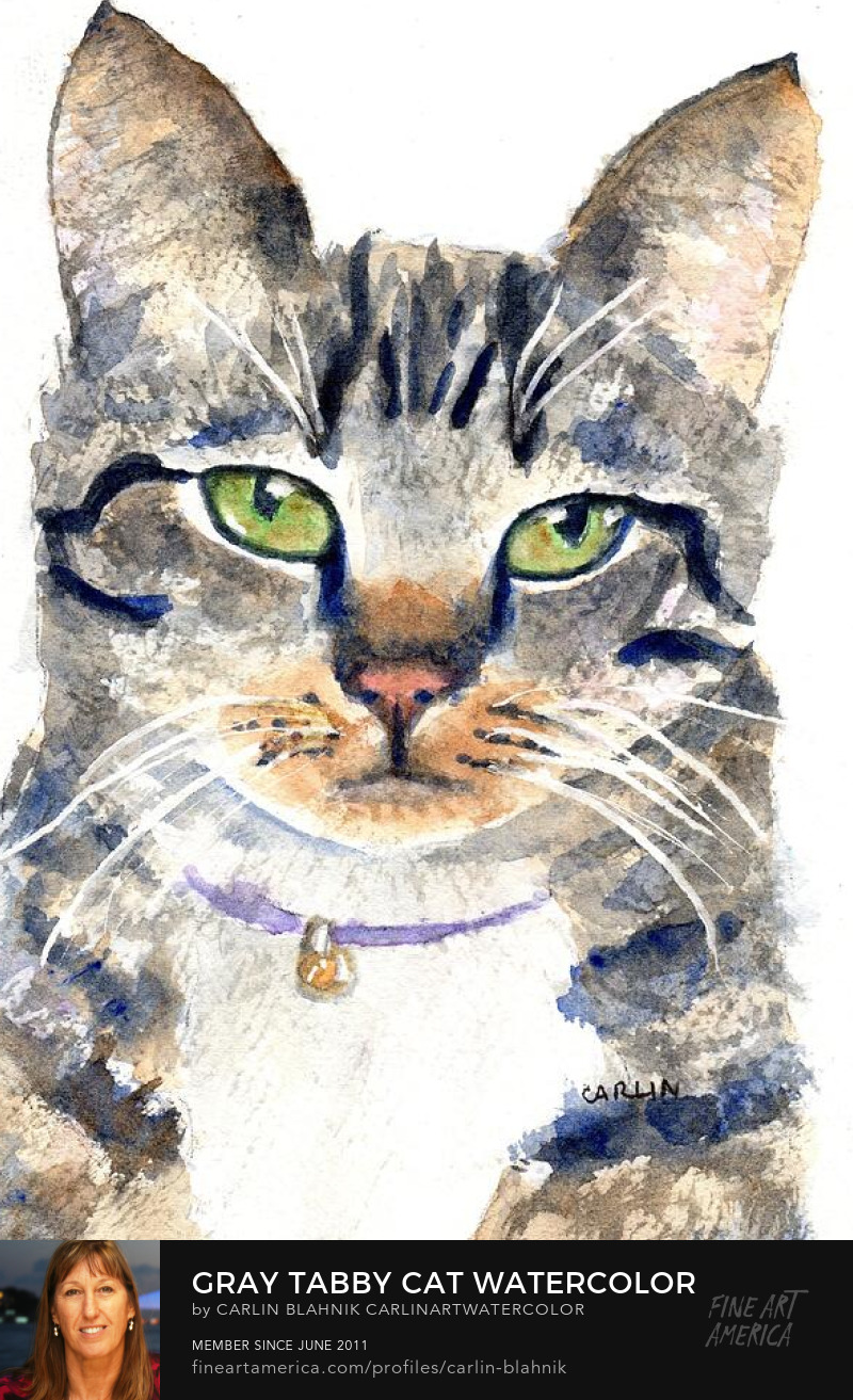 Gray Tabby Cat Watercolor Painting Print by Carlin Blahnik