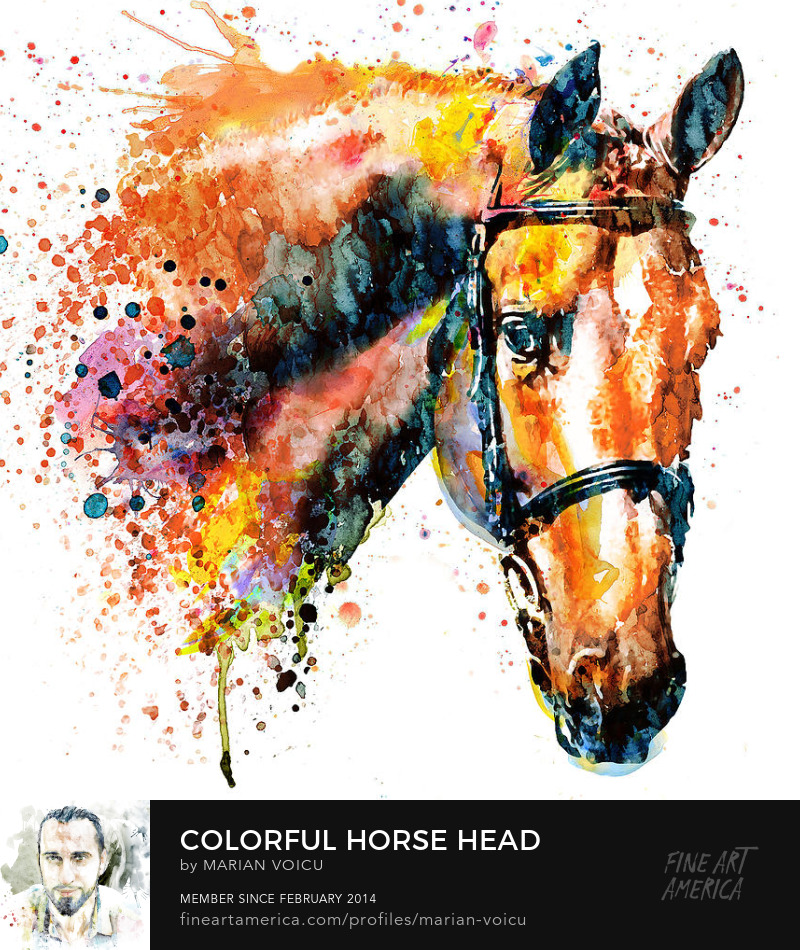 Watercolor portrait of a colorful horse head Art for sale