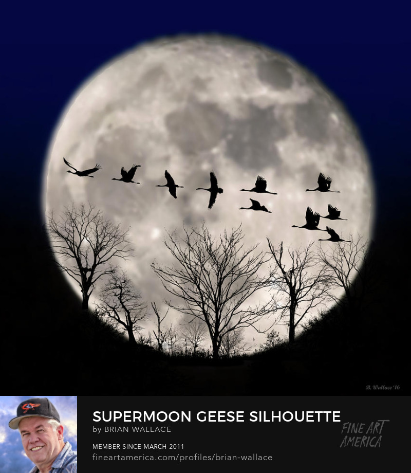 Supermoon Geese Silhouette by Brian Wallace