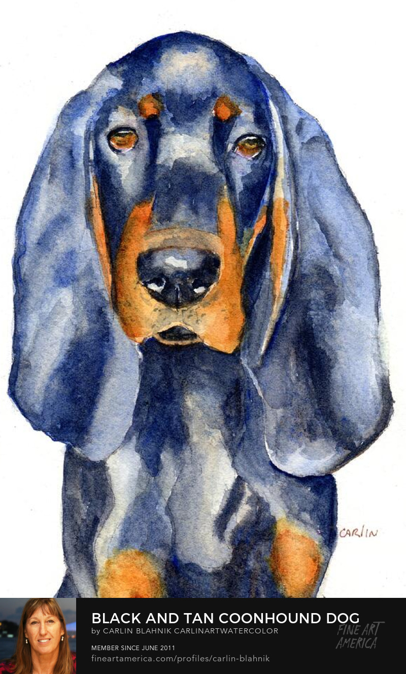 Coonhound Dog Watercolor Art Prints by Carlin Blahnik