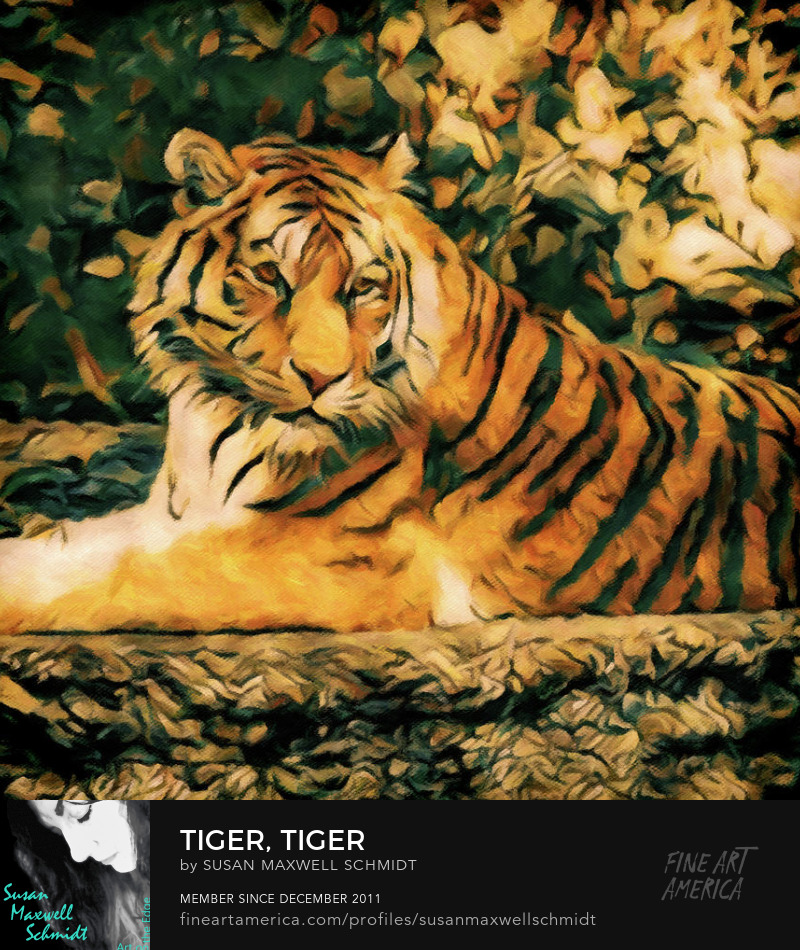 Tiger Tiger Art Print by Susan Maxwell Schmidt