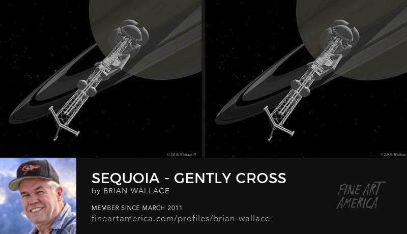 Sequoia - Gently cross your eyes and focus on the middle image by Brian Wallace