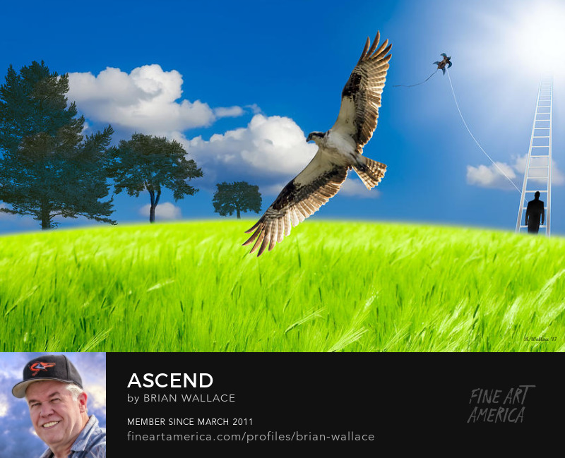 Ascend by Brian Wallace