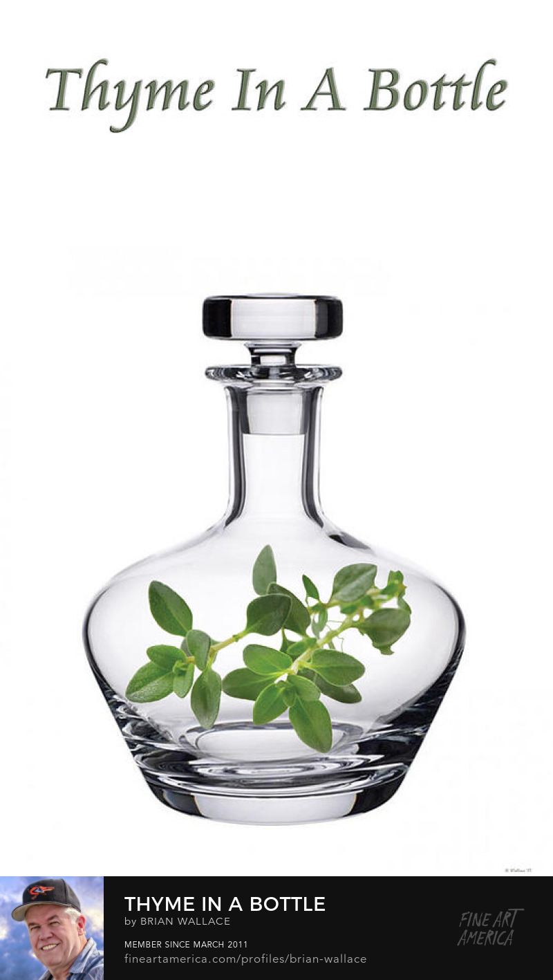 Thyme In A Bottle by Brian Wallace