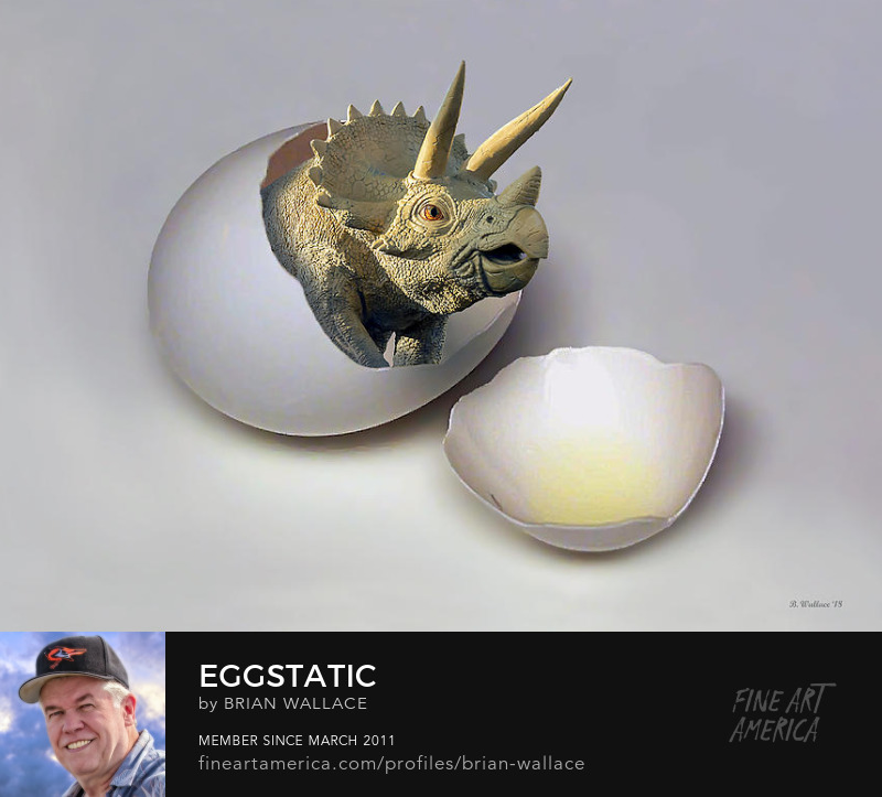 Eggstatic by Brian Wallace