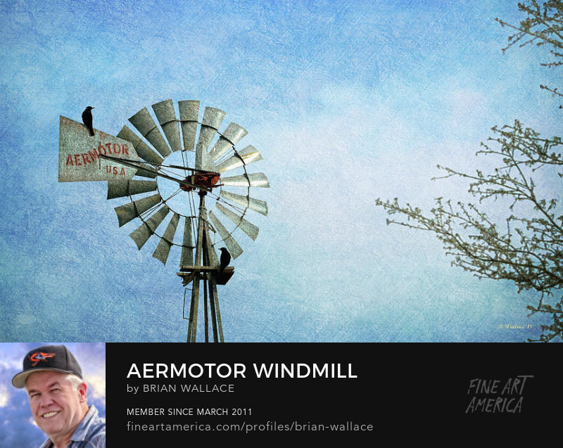 Aermotor Windmill by Brian Wallace
