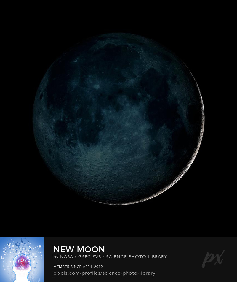 24532608&domainId=12