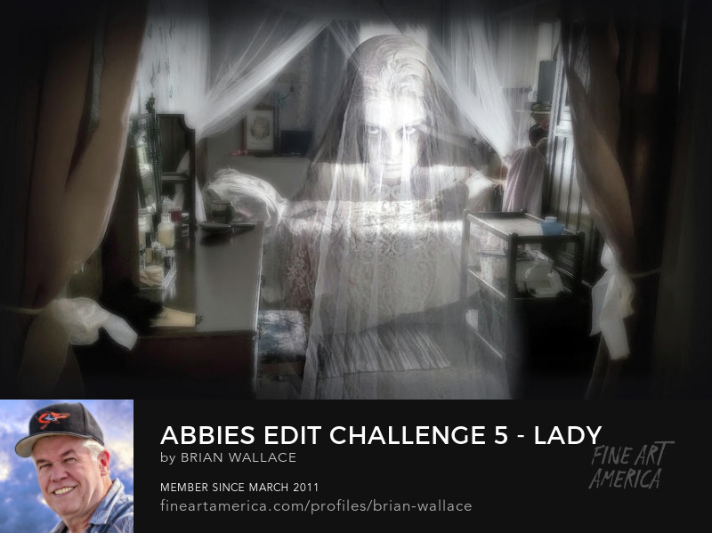 Abbies Edit challenge 5 Lady In White by Brian Wallace