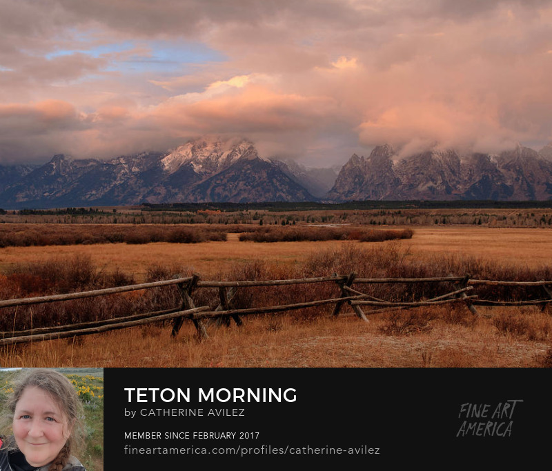 Teton Morning