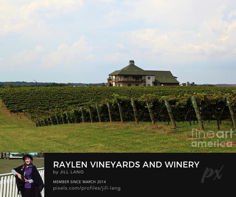 RayLen Vineyards and Winery