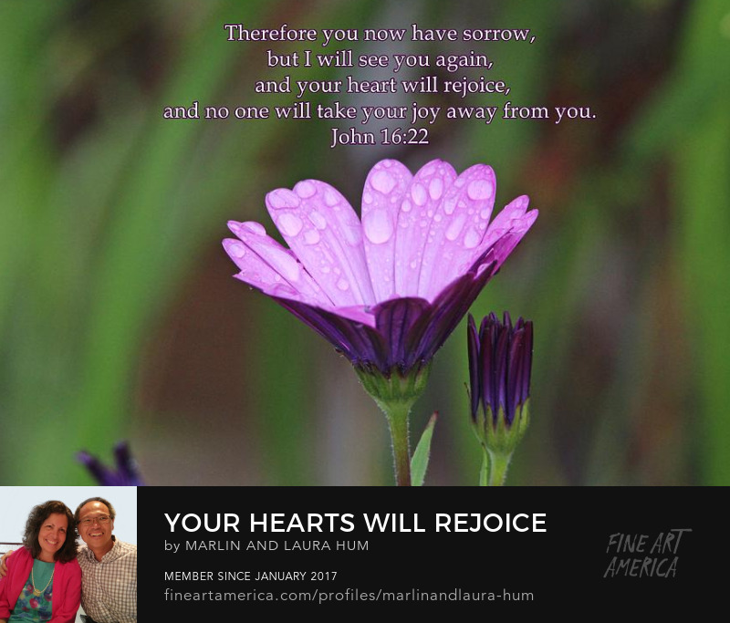 Your Hearts Will Rejoice by Marlin and Laura Hum