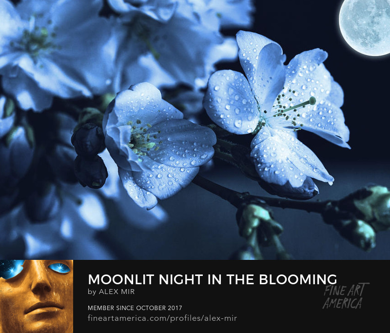 Buy Moonlit Night In The Blooming Garden Art Print