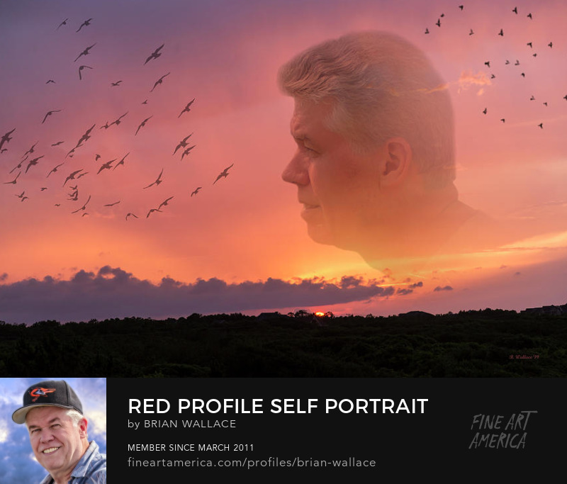 Red Profile Self Portrait by Brian Wallace
