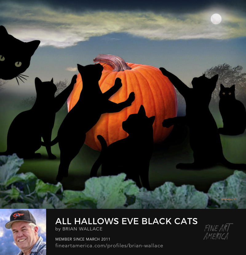 All Hallows Eve Black Cats by Brian Wallace