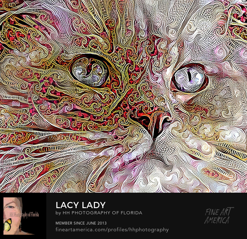 digital persian cat with a lacy face and mask of white gold and red
