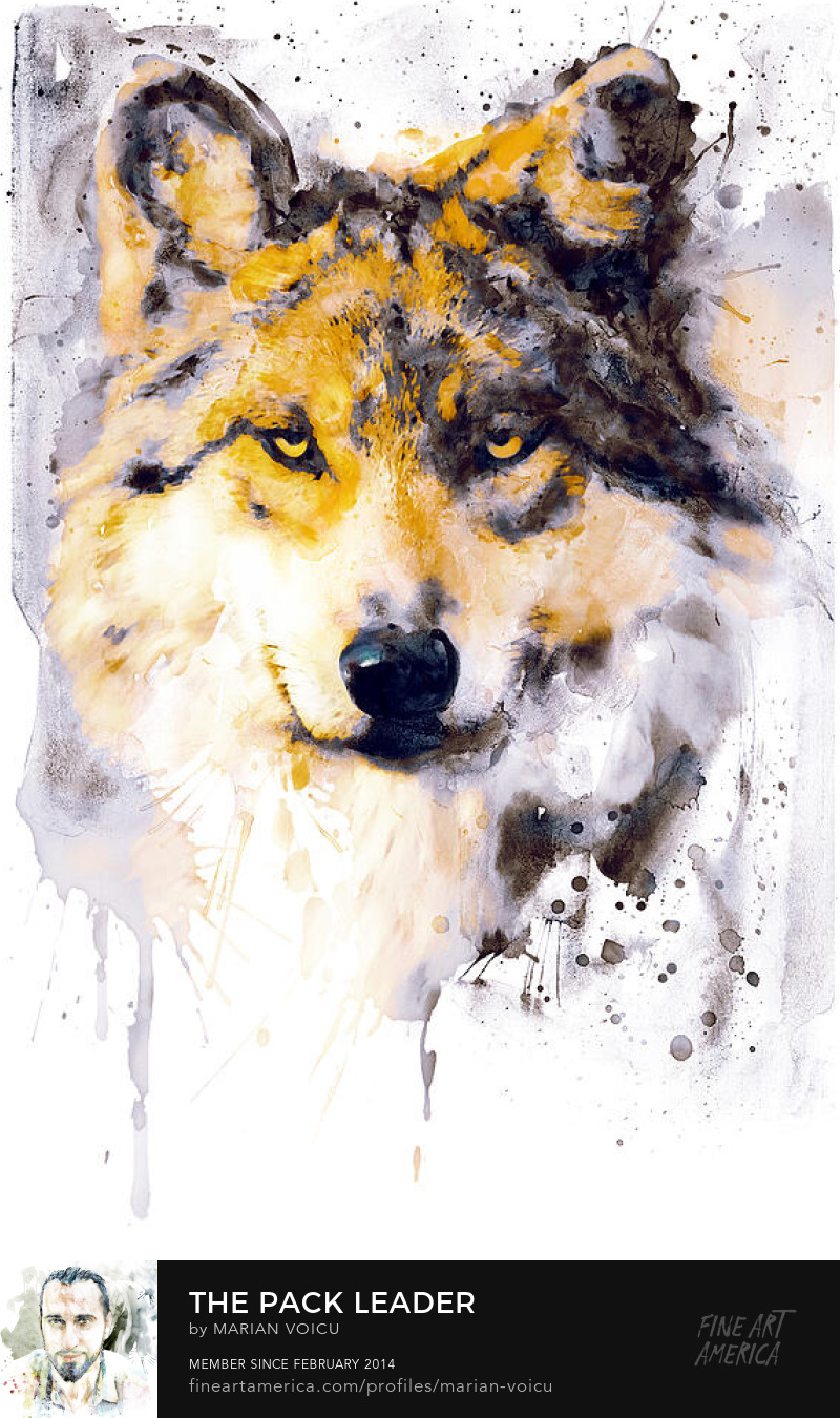 Watercolor portrait of a wolf head in black and yellow tones