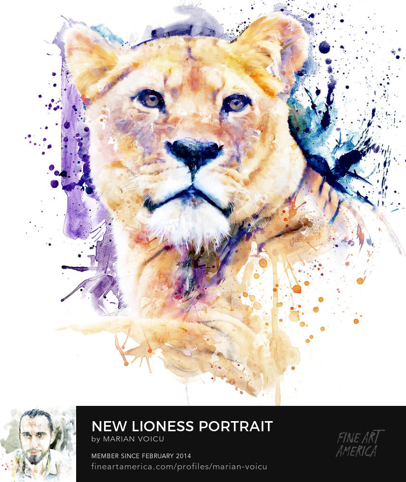 Watercolor portrait of a lioness Art for sale