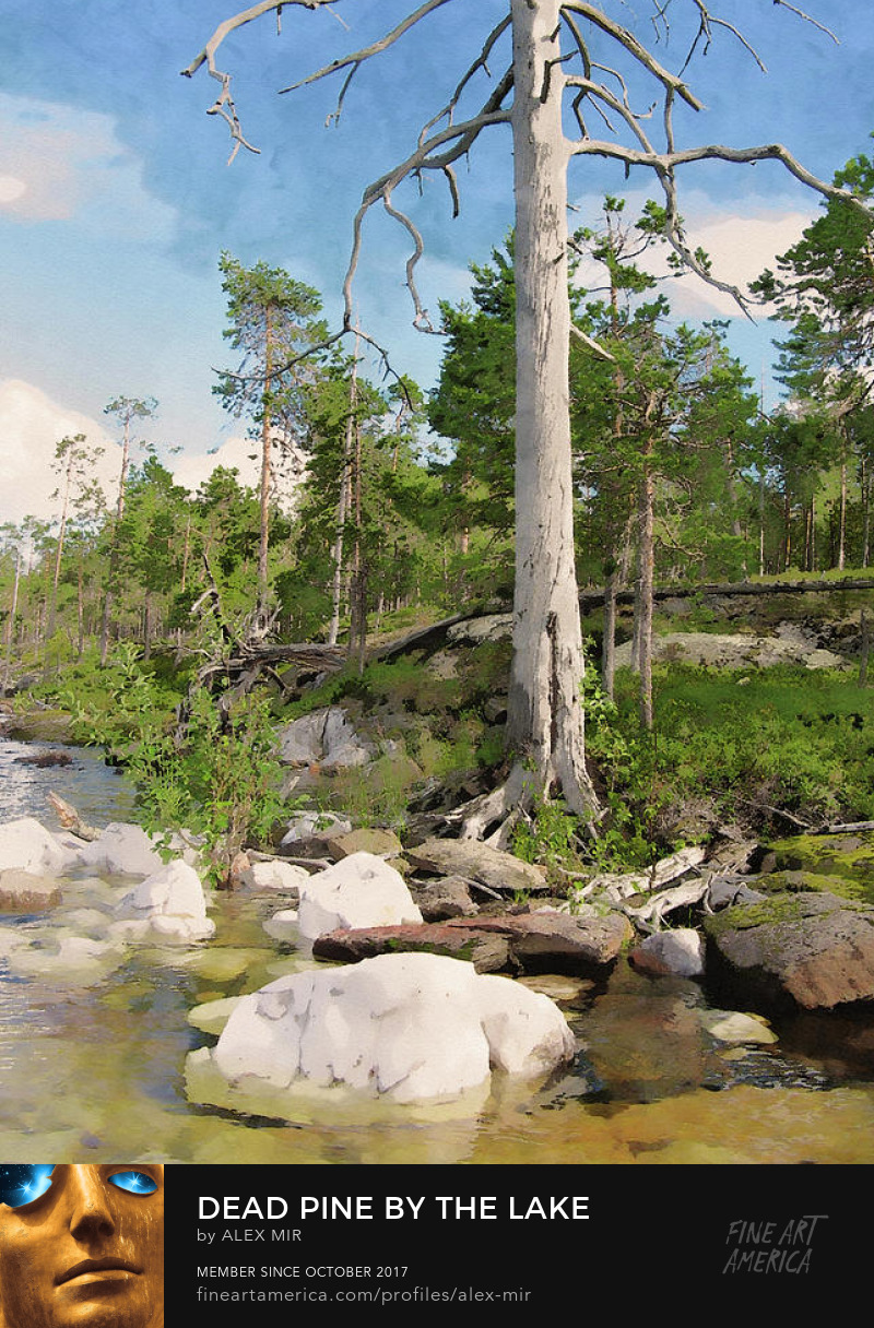 Buy Dead Pine By The Lake Art Online