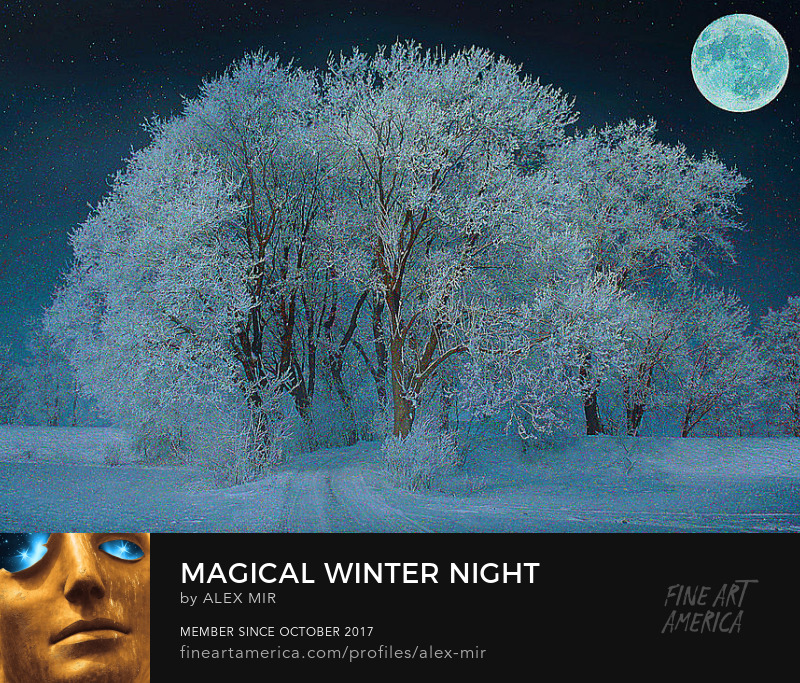 Buy Magical Winter Night Art Print