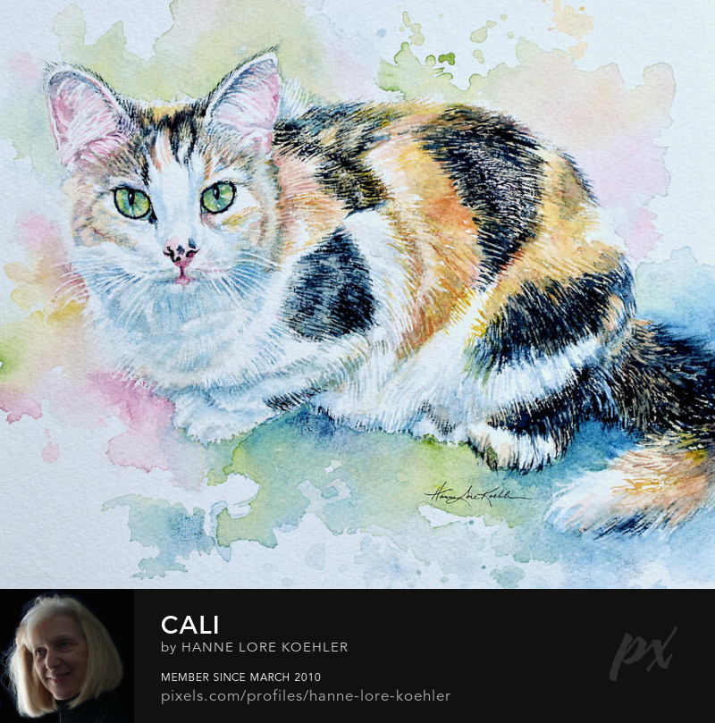 Calico Cat Painting Commission