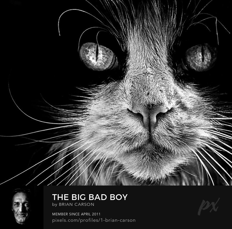 The Big Bad Boy by The Learning Curve Photography on Pixels