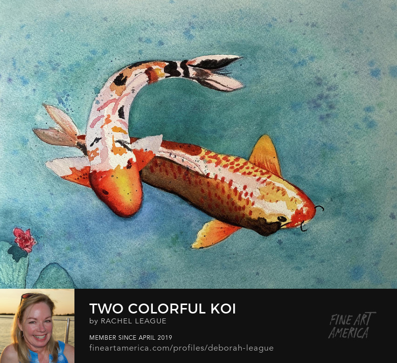Watercolor painting Two Colorful Koi by Rachel League