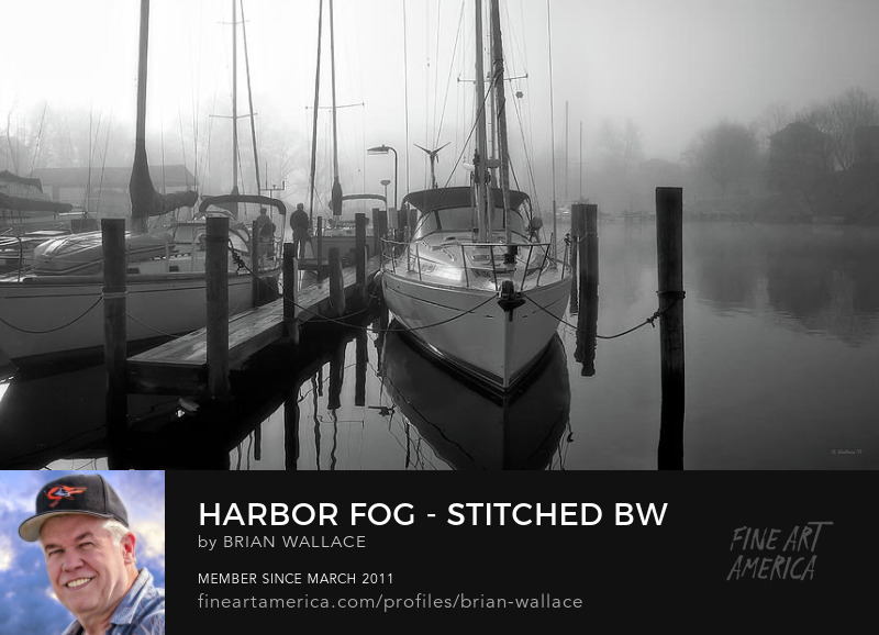 Harbor Fog - Stitched BW by Brian Wallace