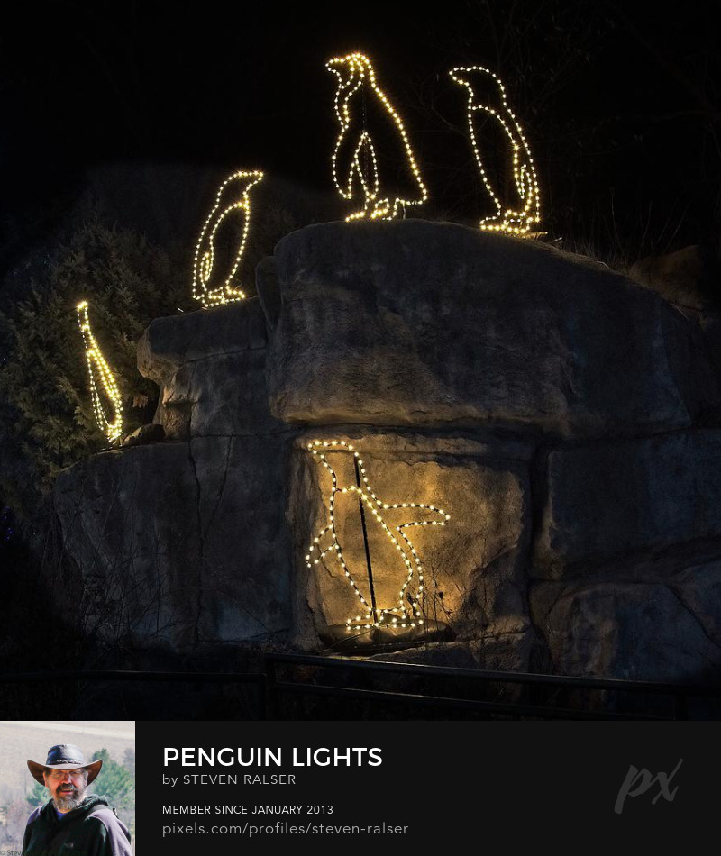 Penguin lights Vilas Zoo, Madison, Wisconsin