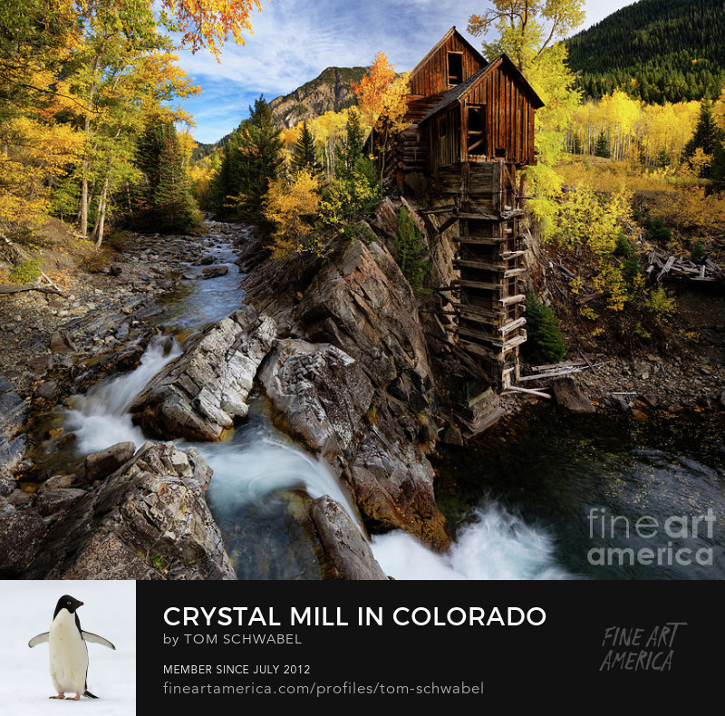 Crystal Mill in Colorado Rockies with Brilliant Yellow Aspen Trees in Autumn by Tom Schwabel