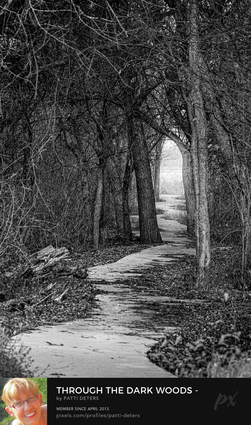 ath dark woods vertical black and white ©patti-deters@pixels.com