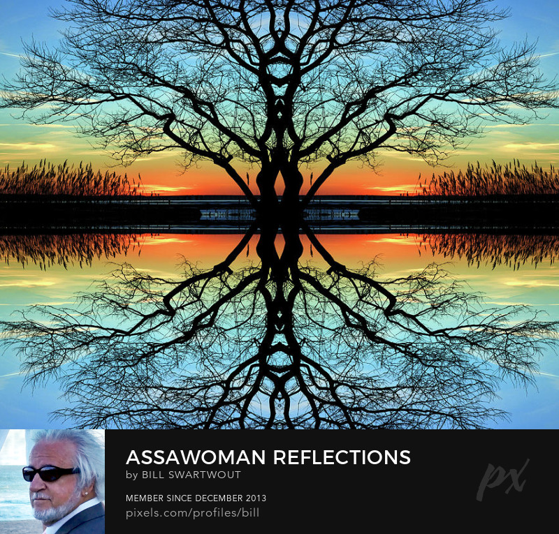 Assawoman Reflections Art Prints