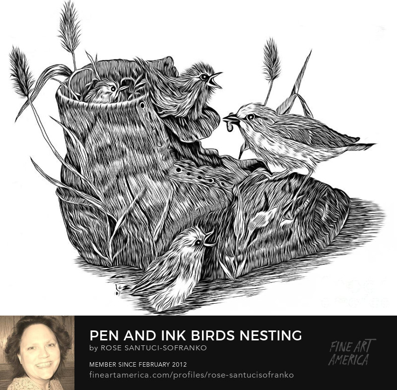 Pen and Ink Birds Nesting in Old Boot Abstract Expressionist Effect Art Prints