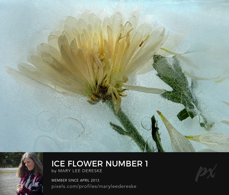 ice-flower-number-1-mary-lee-dereske
