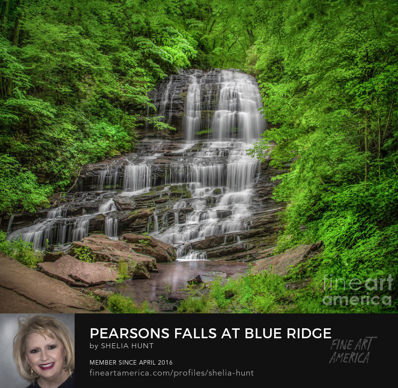 Pearsons Falls at Blue Ridge Parkway by Shelia Hunt