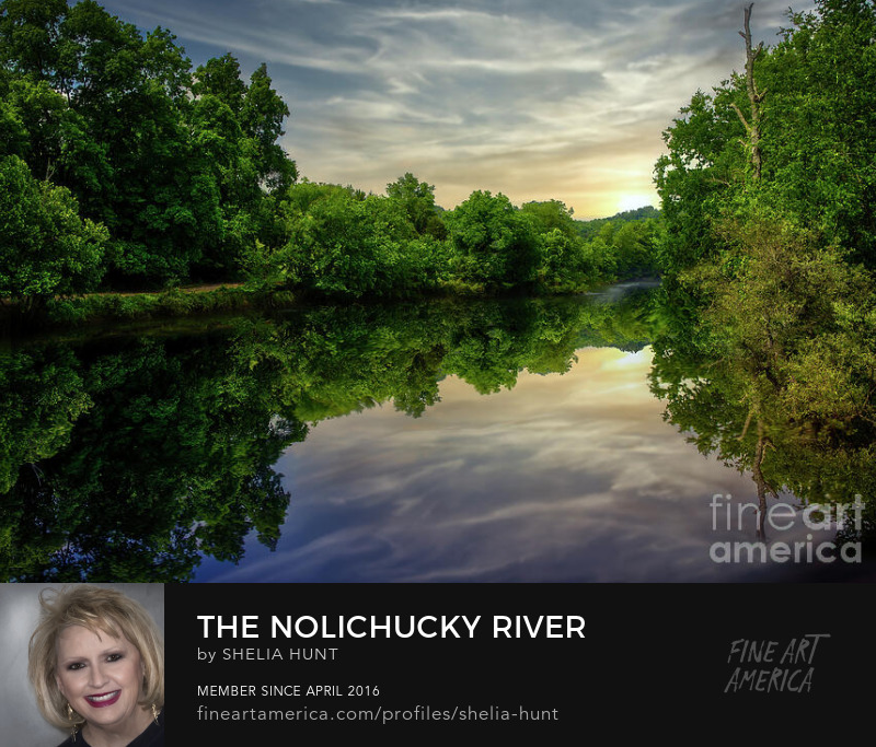 The Nolichucky River by Shelia Hunt
