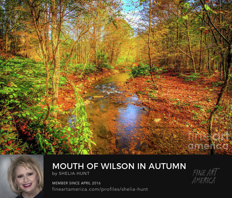 Mouth of Wilson in Autumn by Shelia Hunt