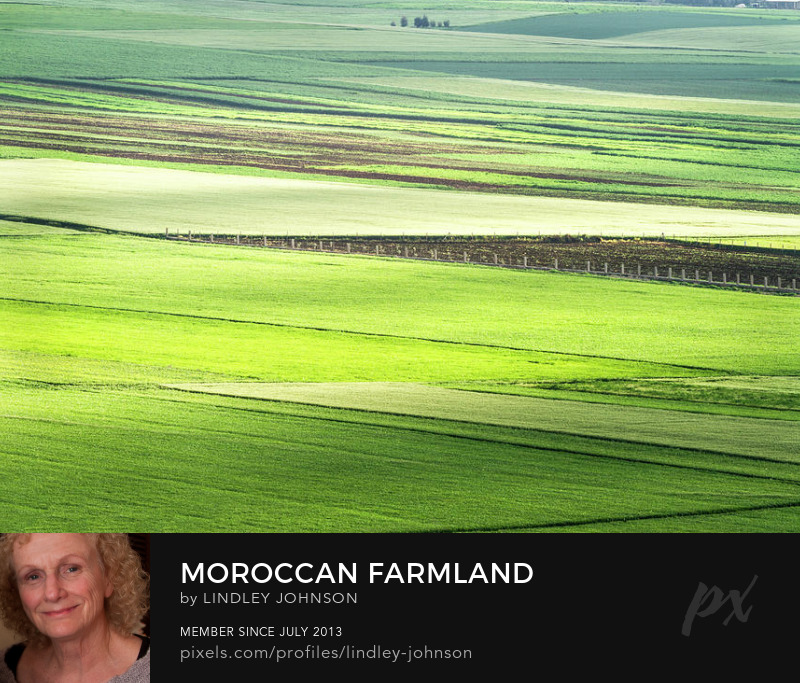 Moroccan Farmland photgraph by Lindley Johnson