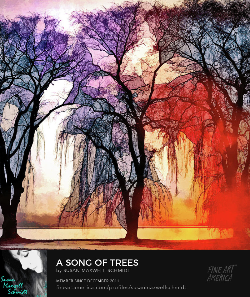A Song of Trees Art Print by Susan Maxwell Schmidt
