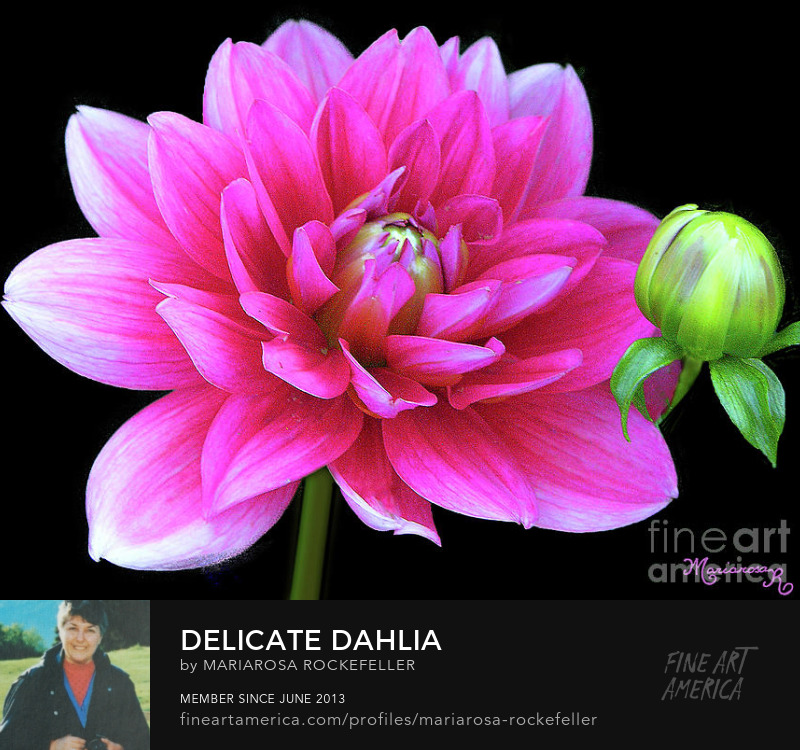 Sell Art Online