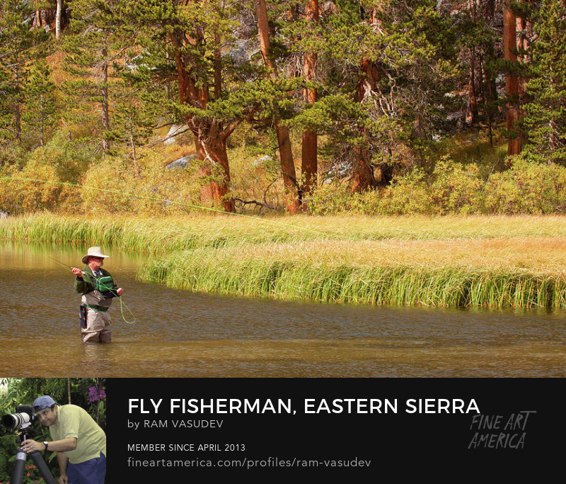 Fly fisherman in Eastern Sierra Fine Art by Ram Vasudev