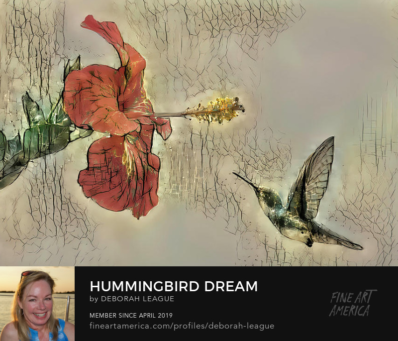 Mixed Media Hummingbird Dream by Deborah League