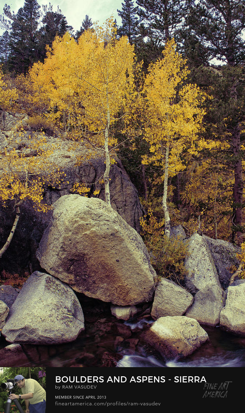 Boulders and Aspens Sierra Autumn Fine Art by Ram Vasudev